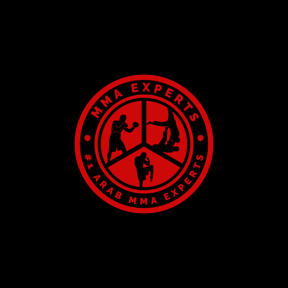 Great Martial Arts Logo for Your Dojo, Club, or Brand — Unique, Powerful, and Professional