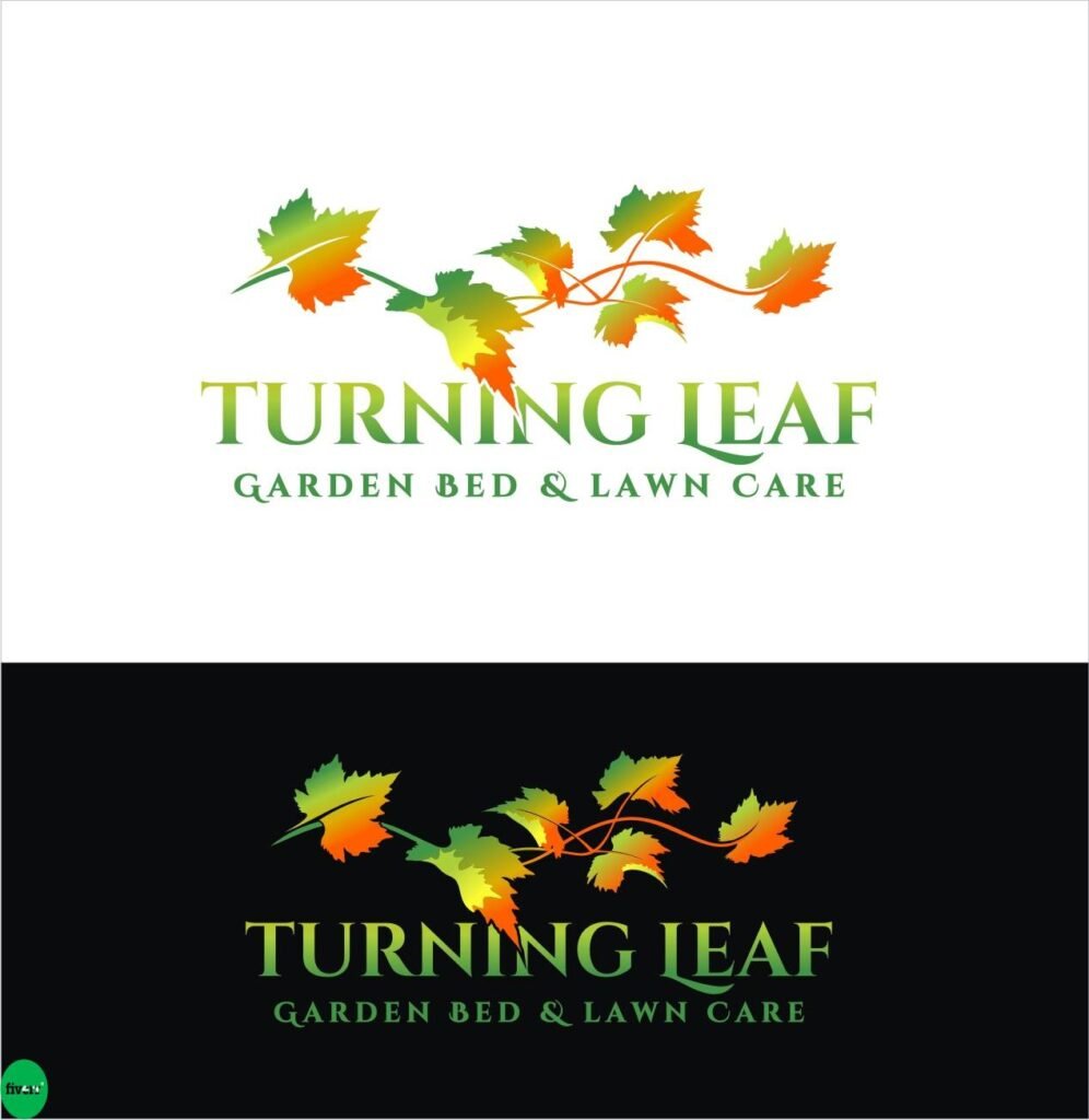 I Will Design Unique and Clean Logo for Your Brand