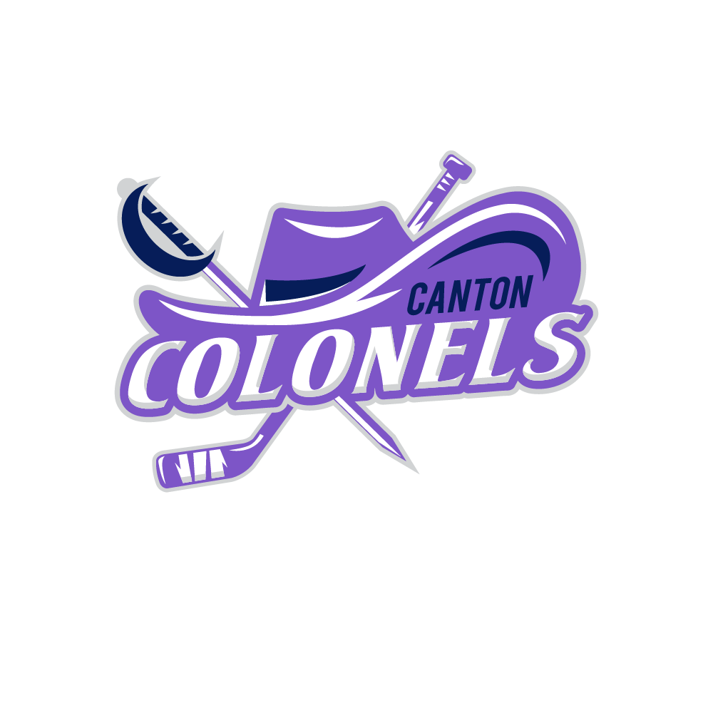 powerful and professional sports logo