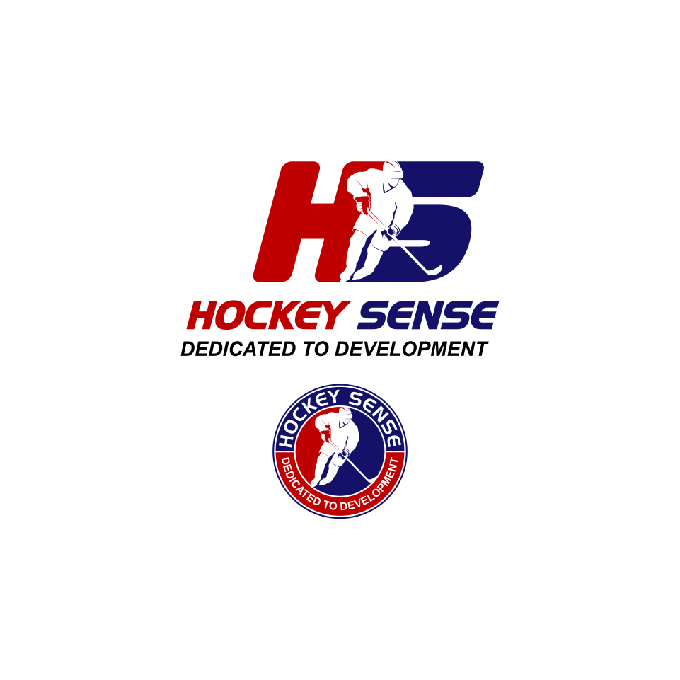 powerful and professional sports logo