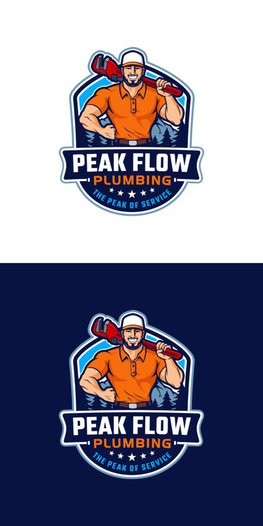 Plumbing, Heating, Cleaning, Real Estate, Property, Home, and Construction Logo