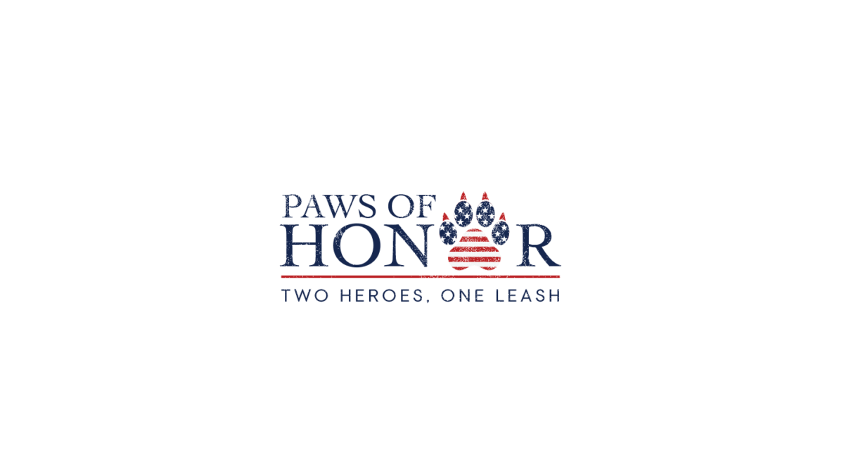 I create multiple design ideas based on your mission, values, and visual preferences.