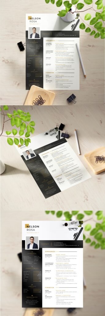 Professional Resume Writer (CPRW) with a track record of creating professional cv, expert resumes, cover letters, and LinkedIn profiles