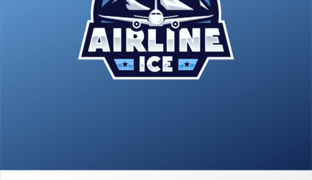 Creating gorgeous airline logo designs