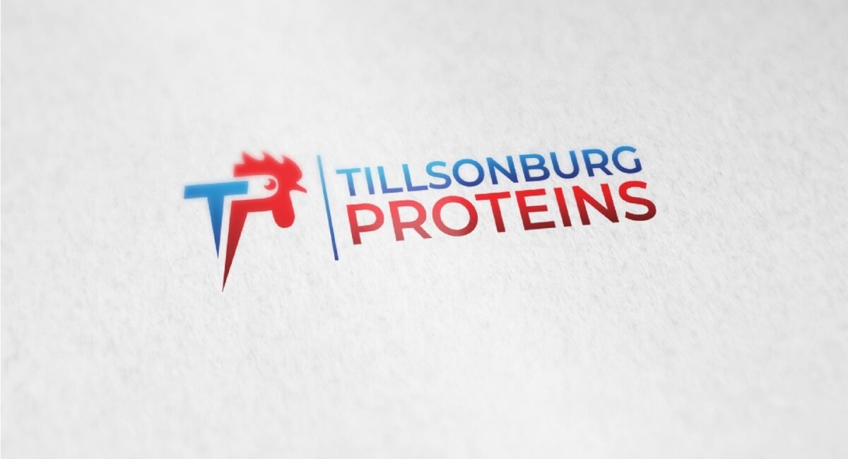 I Will Create an Amazing Export Import Logo for Your Business – Professional, Global & Corporate Branding