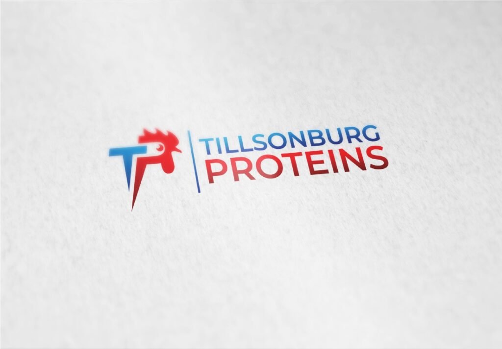 Professional Export Import Logo Design for Global Business Branding