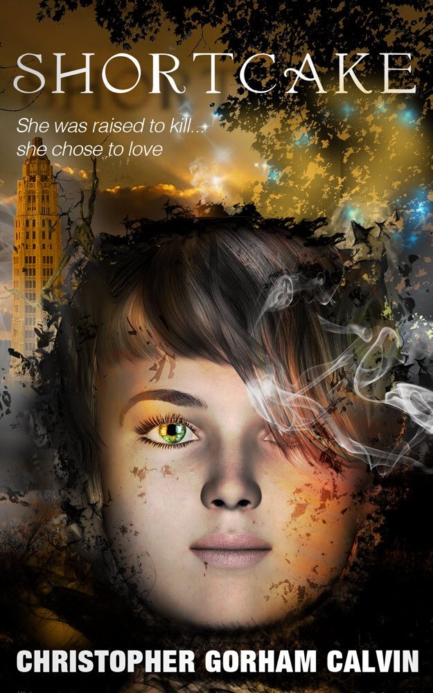 Professional and Attractive Book Cover Design for Any Genre