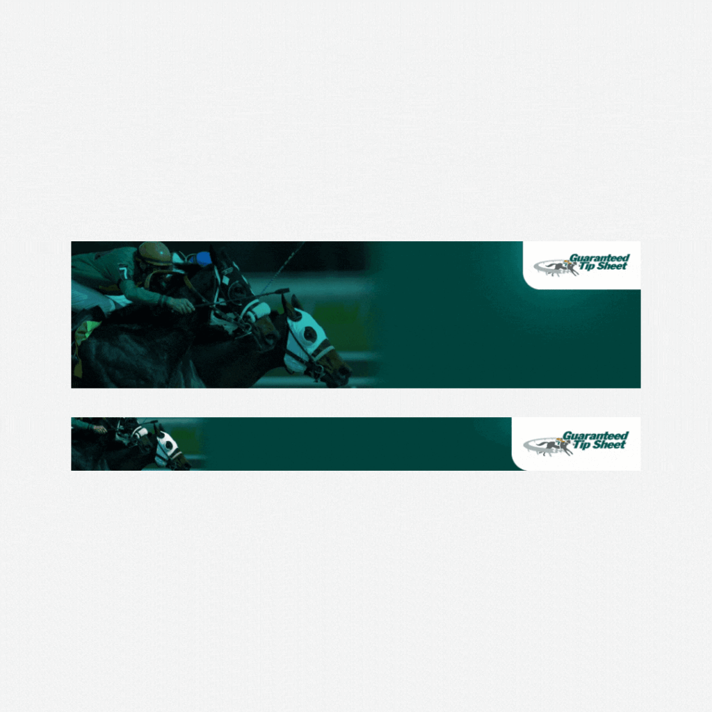 Professional Google Ads Banner Design – Eye-Catching & High CTR