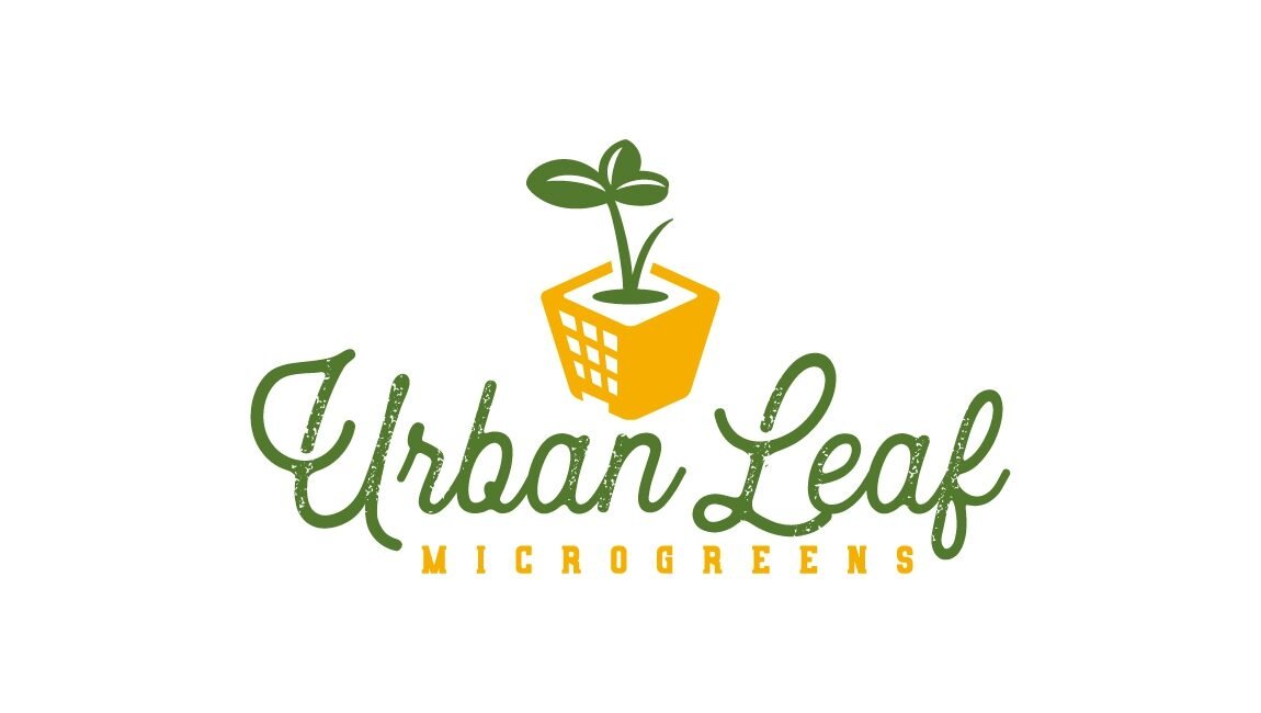 Professional Agriculture Farm Logo Design Services