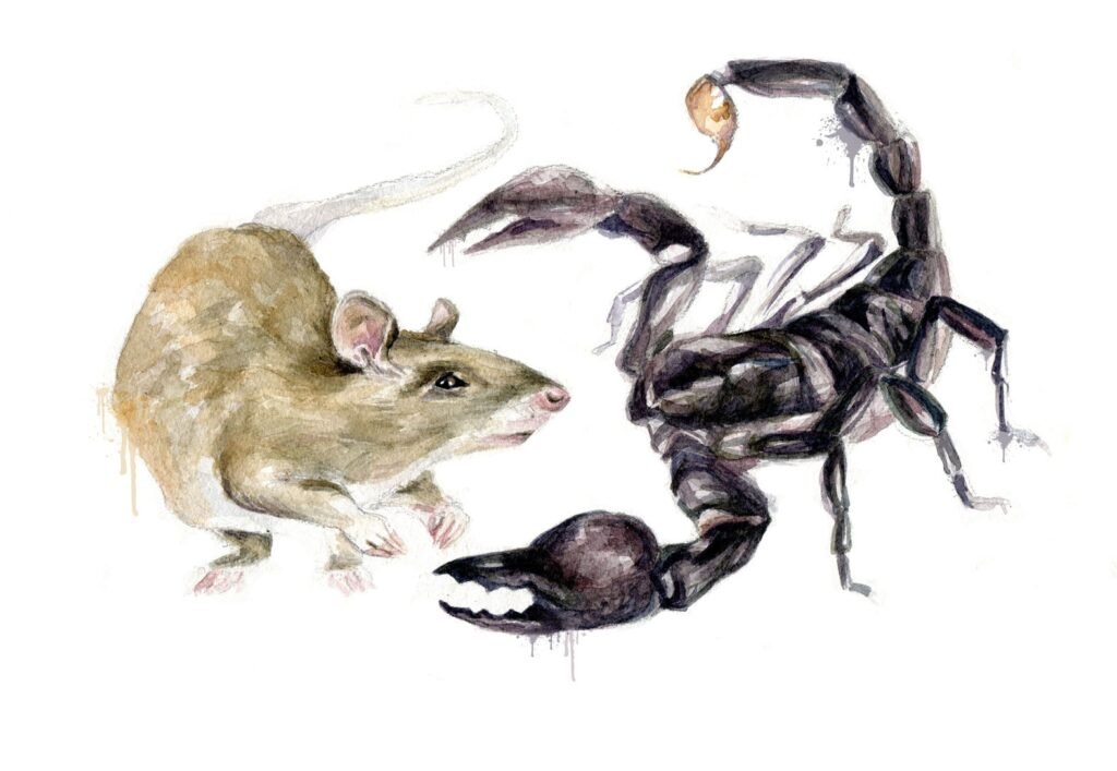 Elegance in Every Stroke: Discover the Meaning Behind Our Watercolor Logo"