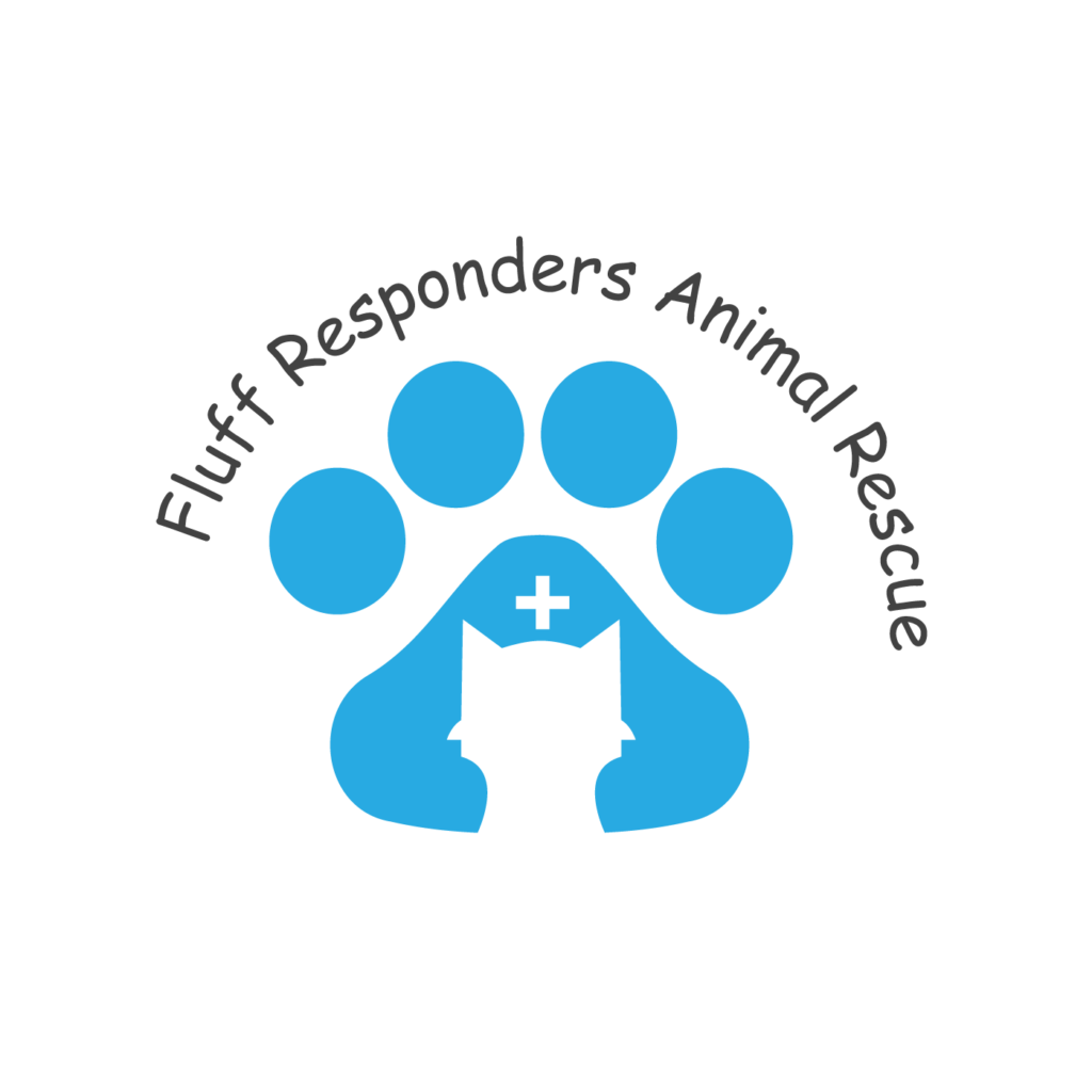 Modern Health Clinic Pet Care | Where Compassion Meets Advanced Veterinary Care