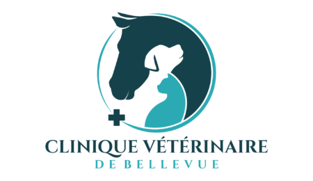 I-will-create-modern-health-clinic-pet-care-logo