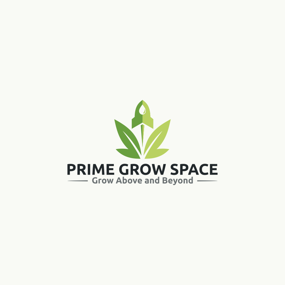 Professional Modern Tree & Leaf Logo Design Services