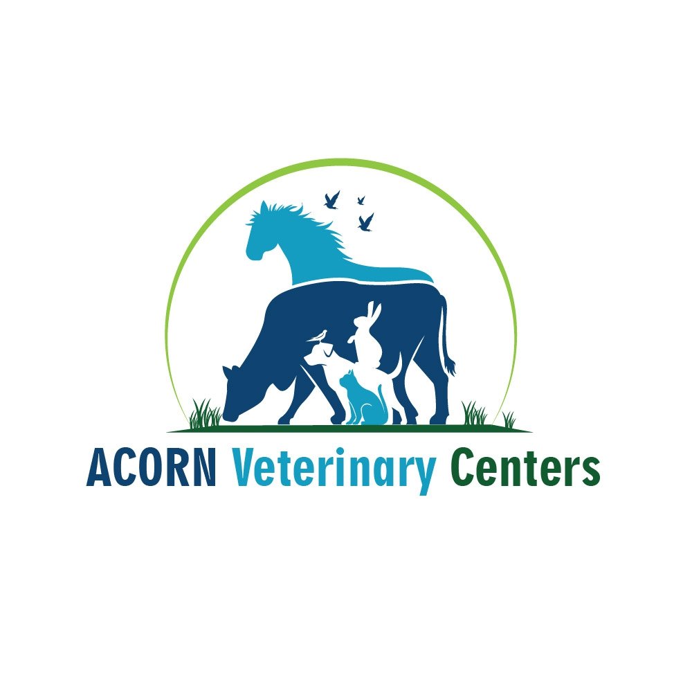 High-Quality Veterinary Logo Design for Clinics & Grooming Salons