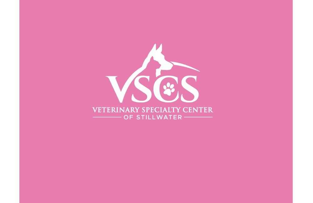 Attachment Details I-will-do-professional-animalveterinary-logo-design-8.jpg