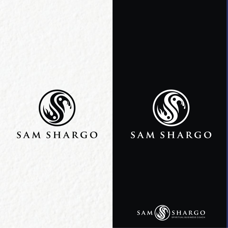 Premium Financial Services Logo Design in 24 Hours
