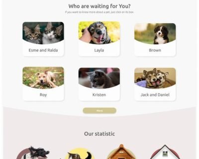 I-will-build-wordpress-website-development-business-website-or-wordpress-blog-website-9