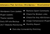 I will provide wordpress maintenance and support or help
