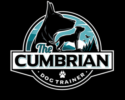 I-will-do-modern-animal-dog-pet-care-veterinary-logo-4