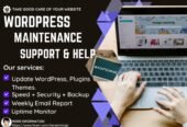I will provide wordpress maintenance and support or help
