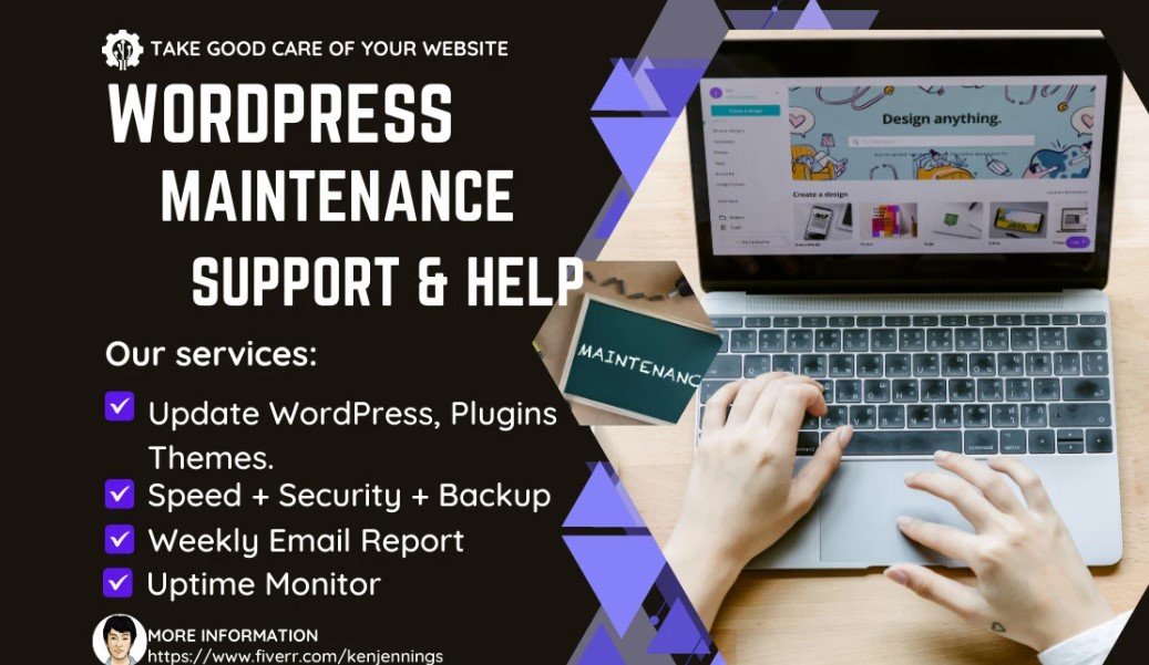 I will provide wordpress maintenance and support or help