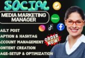 I will be your social media marketing manager and content creator