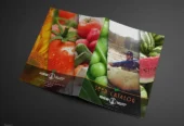 I will create catalog design, product catalog flyer, brochure