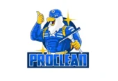I will do cleaning and car wash logo, for cleaning service your business