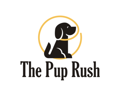 Best-cat-dog-logo-design-4