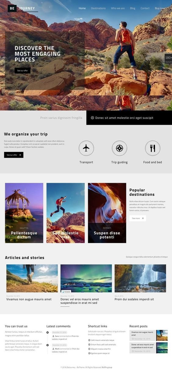 I will build wordpress website development, business website or wordpress blog