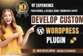 I Will Create a Custom WordPress Plugin or Theme for You