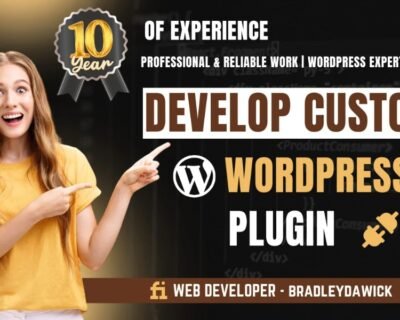 I-will-create-a-custom-wordpress-plugin-or-theme-for-you-4