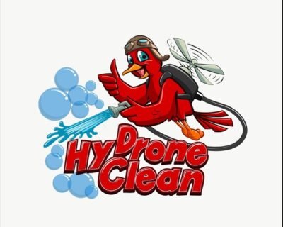 I-will-do-cleaning-and-car-wash-logo-for-cleaning-service-your-business-1