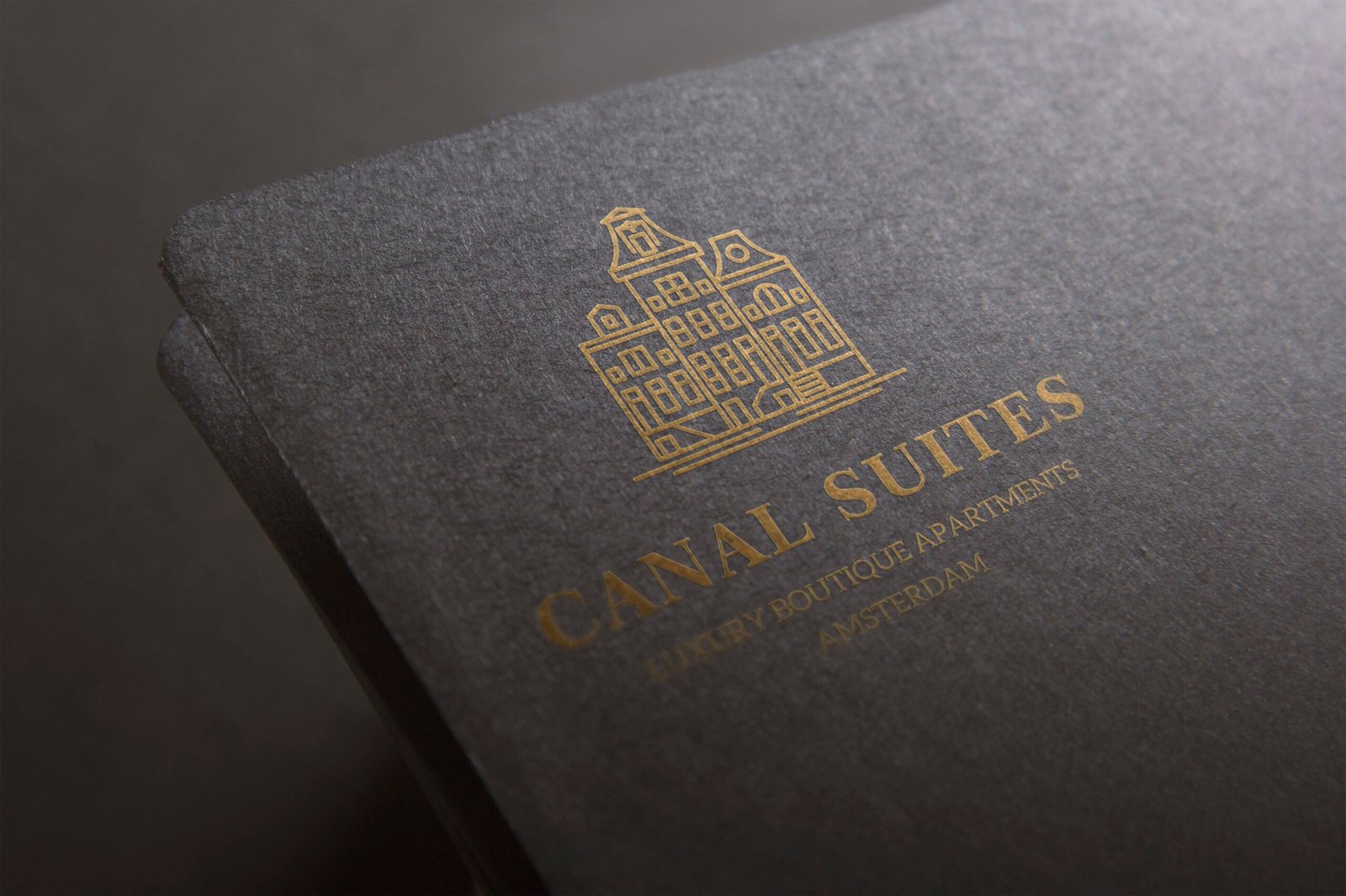 I Will Design a Professional Digital Agency Logo & Company Brand