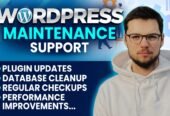 I will provide wordpress maintenance and support or help