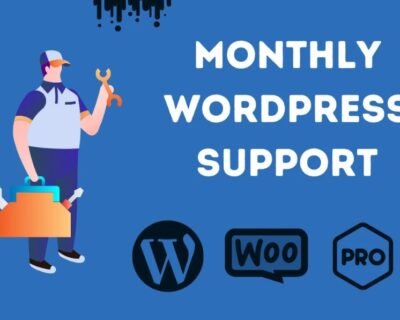 I-will-provide-wordpress-maintenance-and-support-or-help-6