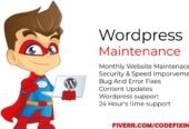 I will provide wordpress maintenance and support or help
