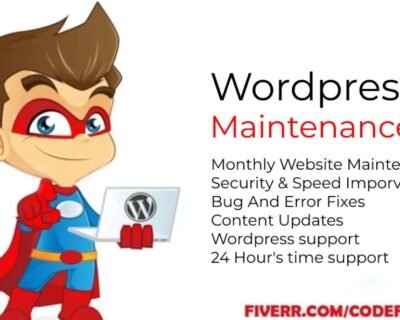 I-will-provide-wordpress-maintenance-and-support-or-help-7
