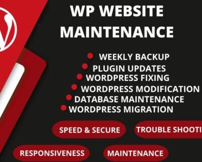 I-will-provide-wordpress-maintenance-and-support-or-help-8