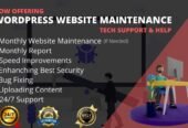 I will provide wordpress maintenance and support or help