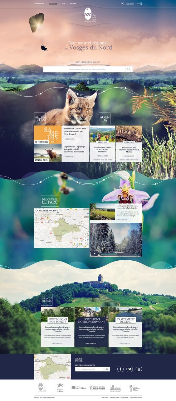 I Will Build a Responsive WordPress Website Design for Your Company