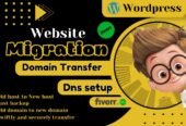 I Will Backup, Migrate, or Transfer Your WordPress Website in 2 Hours