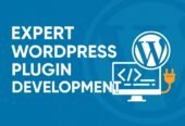 I Will Create a Custom WordPress Plugin or Theme for You