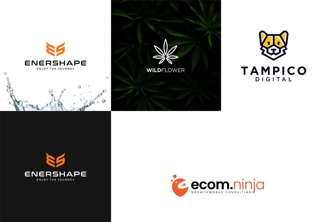 I Will Create a Professional Minimalist Business Logo Design for Your Brand