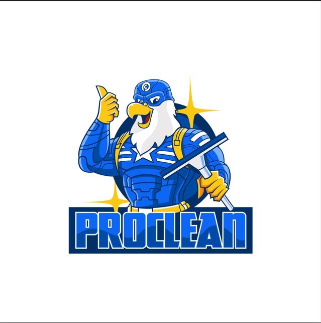 I Will Design Cleaning & Car Wash Logo for Your Business