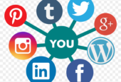 I will set up all social media accounts and your business pages