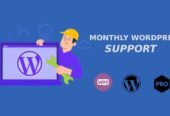 I will do monthly wordpress maintenance and support