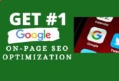 I Will Do the Best On-Page SEO Optimization for Your Website