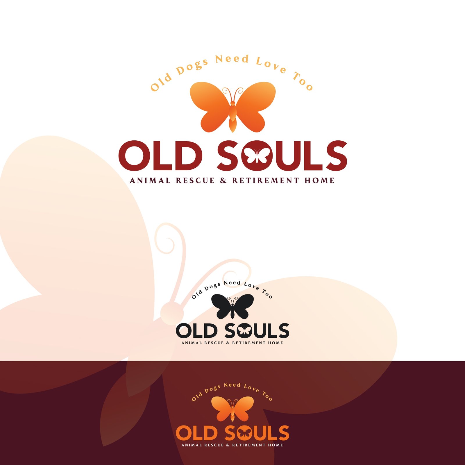 I Will Build WordPress Website, WordPress Blog & Professional Website Development