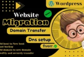 I will backup, migration, transfer bigo website wordpress in 2 hour